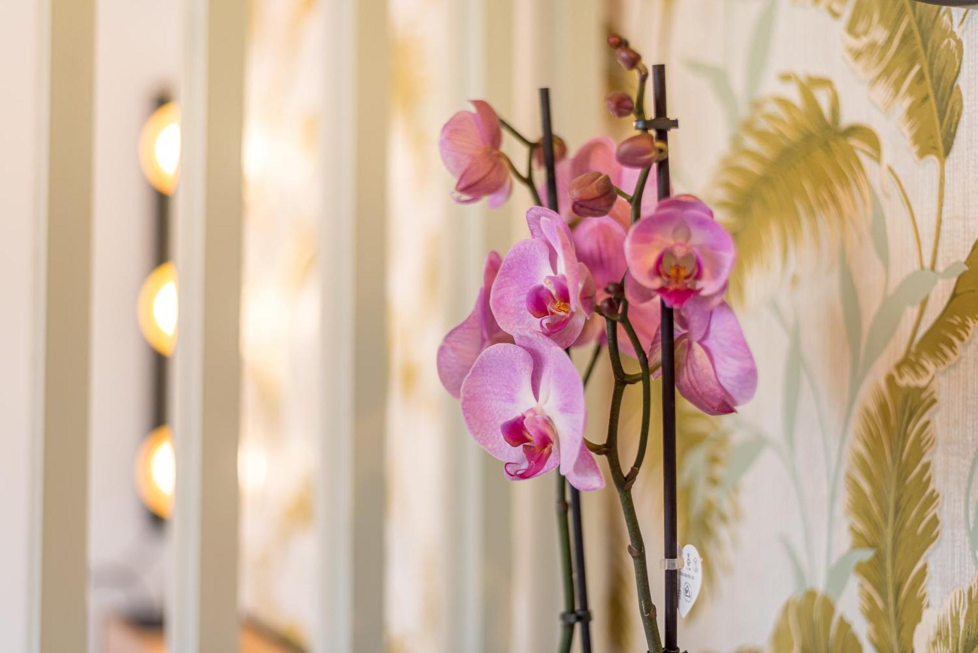 Urban Luxe Studio Torremoilinos ตอร์เรโมลิโนส ภายนอก รูปภาพ